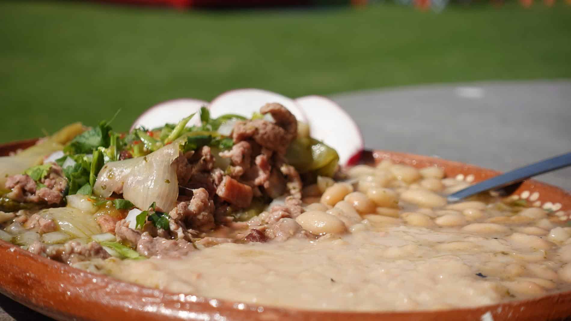CARNE EN SU JUGO – PLATILLO (2)