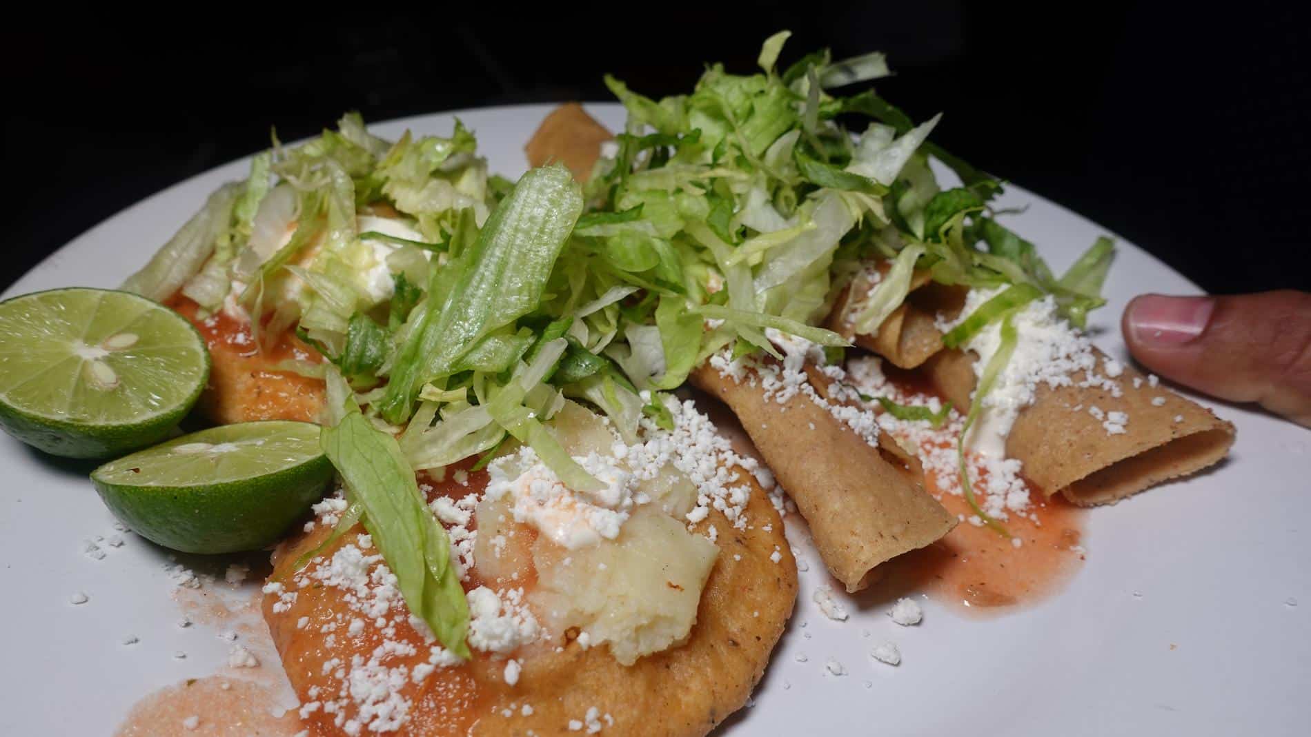 ANTOJITOS MEX (16)