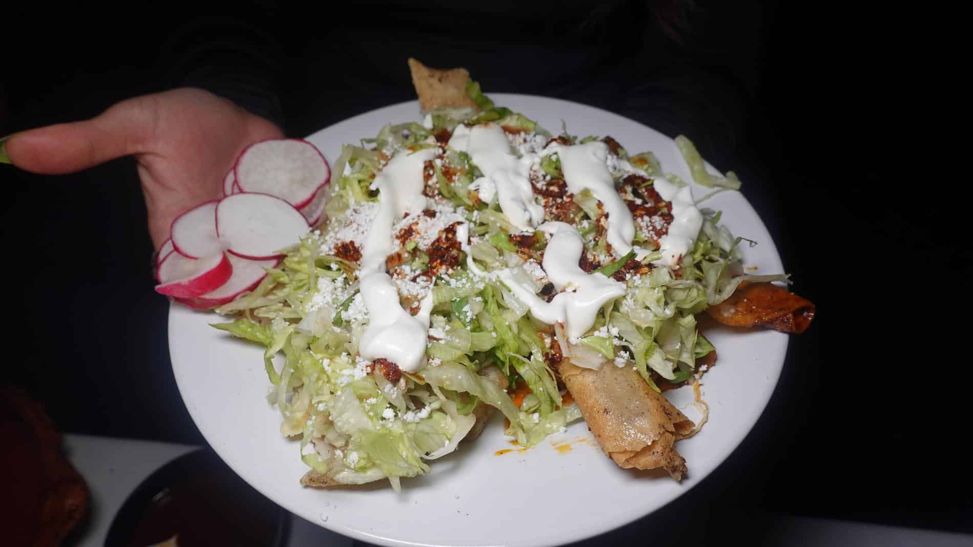 ANTOJITOS MEX (18)