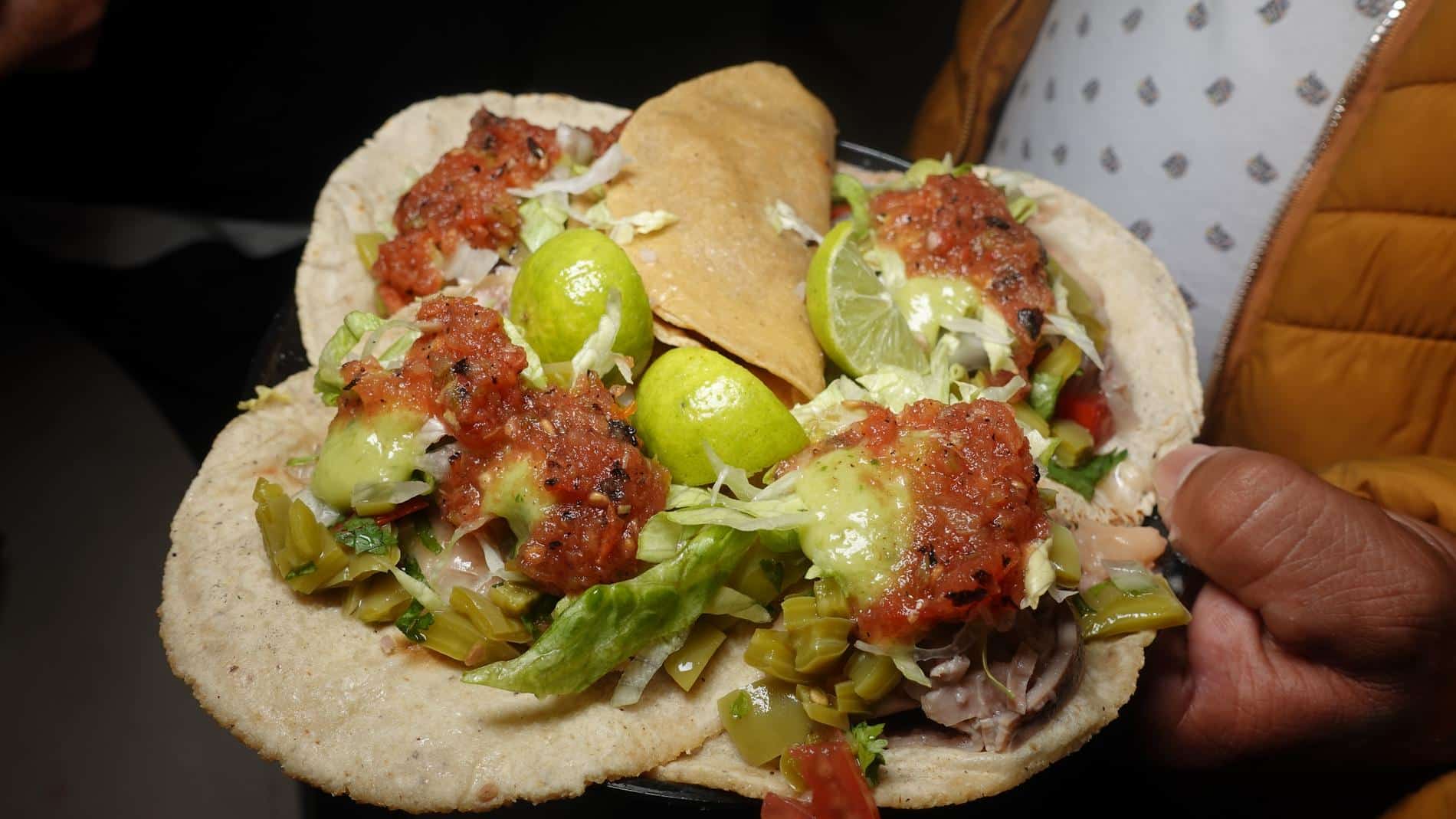 CARNITAS (1) (1)