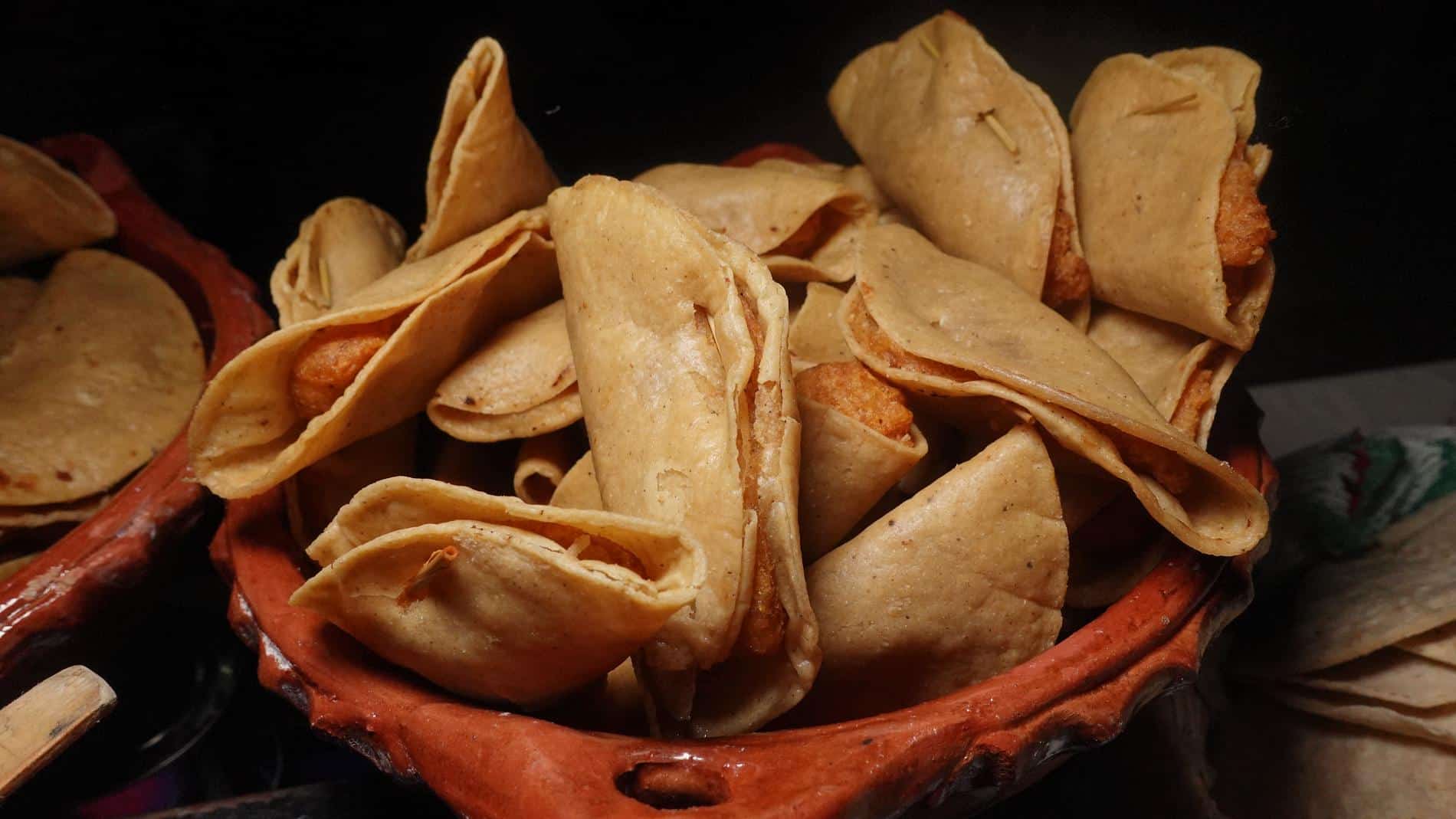 CARNITAS (5) (2)